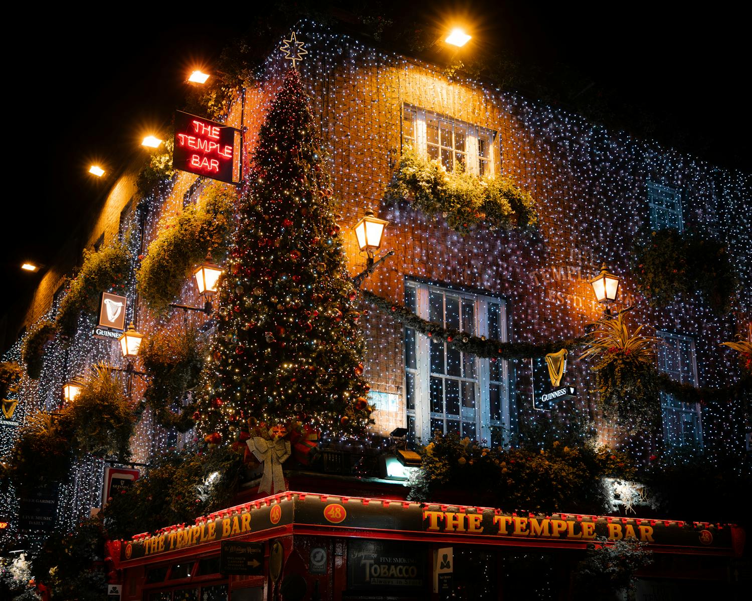 Christmas Tree and Lights on Building at Night