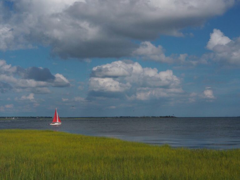 beaches on the east coast